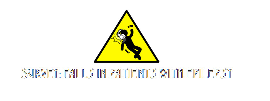 Logo-Survey-Falls-1